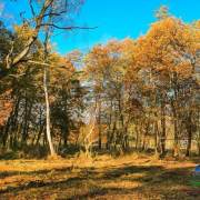 PARCELA (LOTE) PARA LA CONSTRUCCIÓN EN GRADIŠTKO