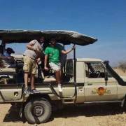 Tanzania - safari
