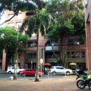 Desarrollo del proyecto MedEvroPlastica en Colombia